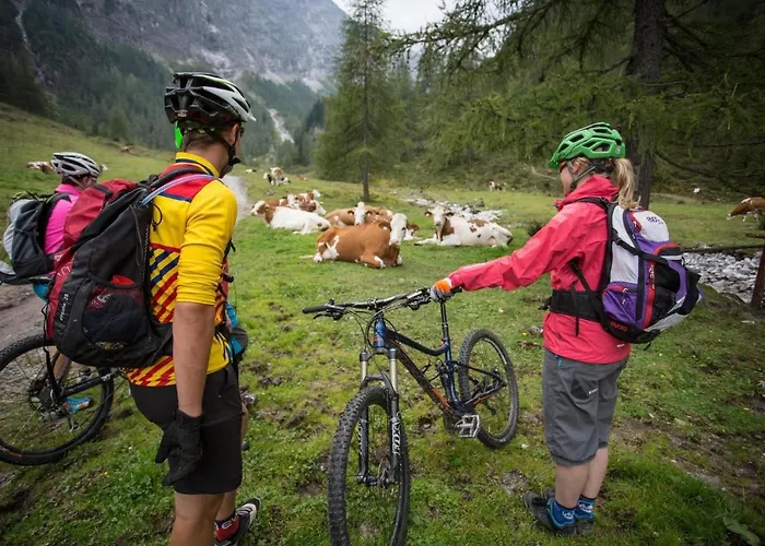 In With Mountain Views アパート フラッハウ